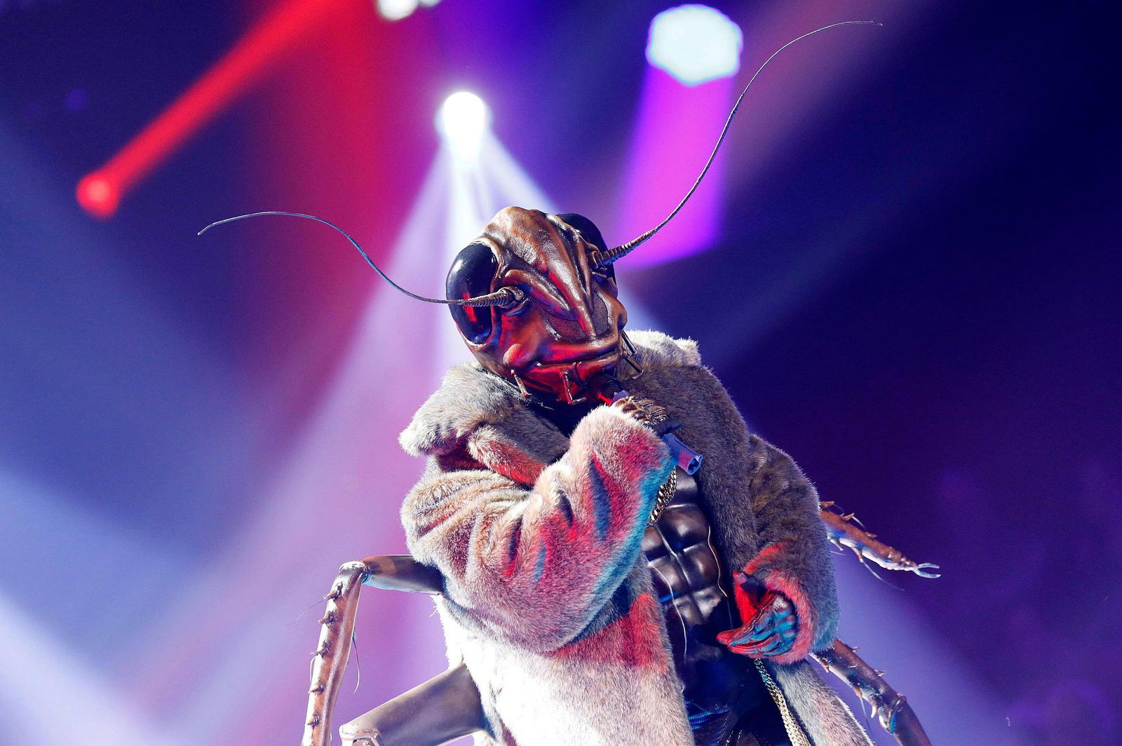 Kakerlake, The Masked Singer, 2020