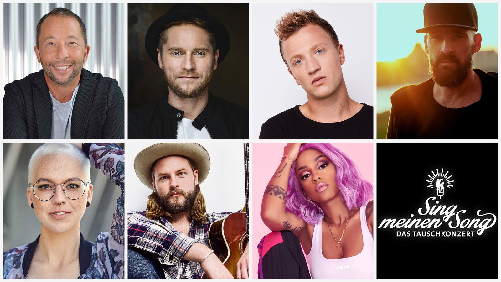 Sing meinen Song Besetzung