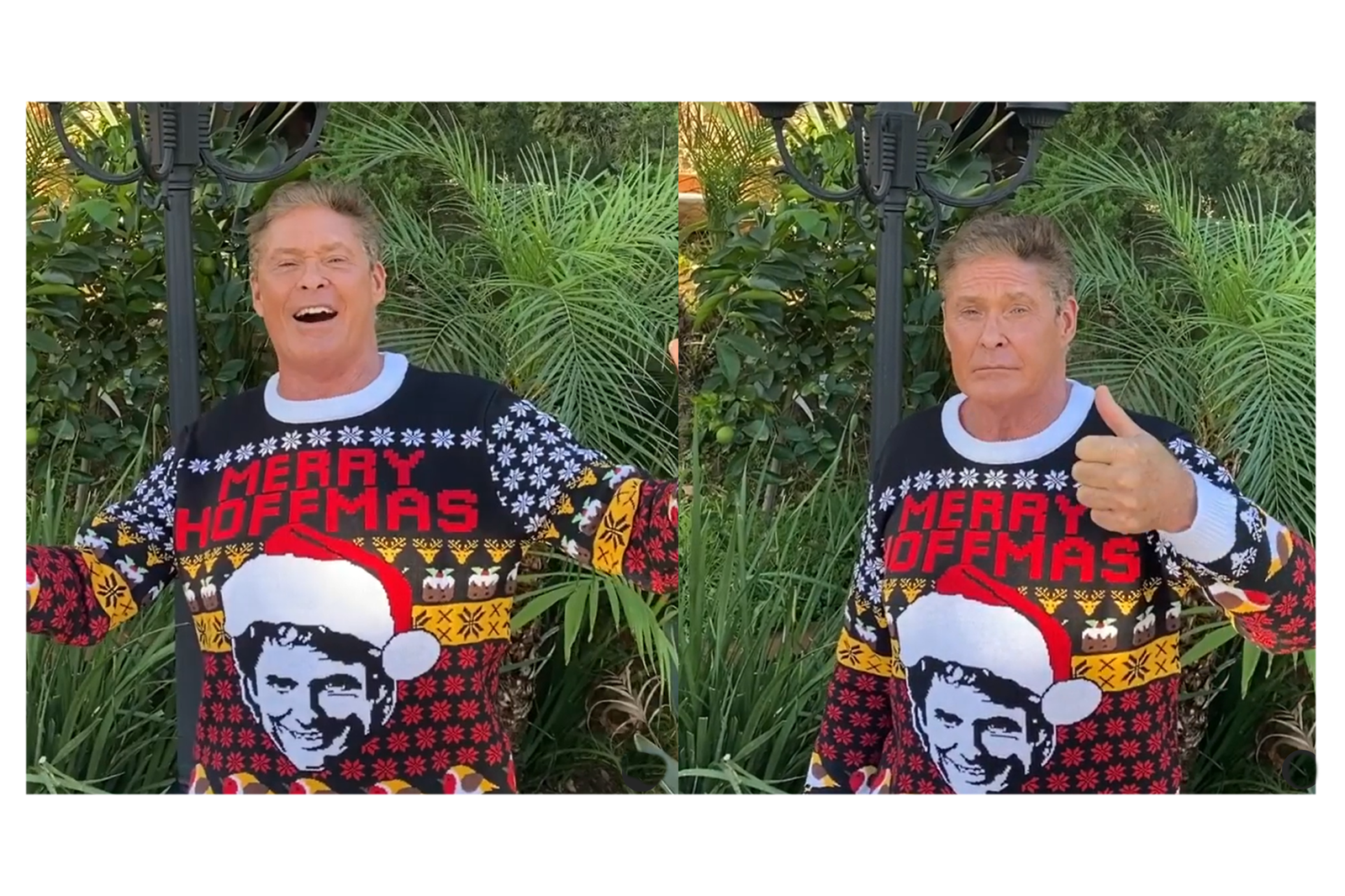 David Hasselhoff XMas