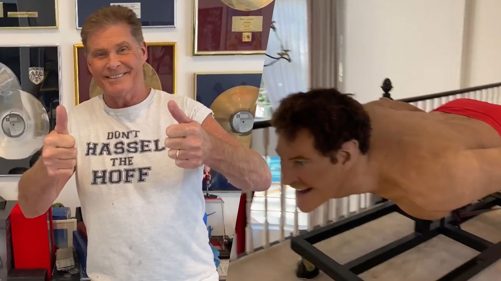 David Hasselhoff Auktion