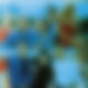Beverly Hills 90210 Cast
