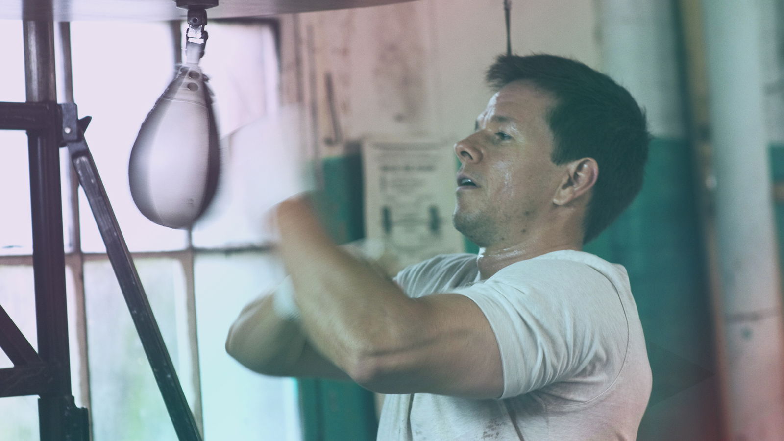 Mark Wahlberg