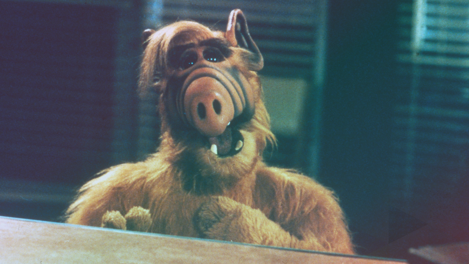 Alf