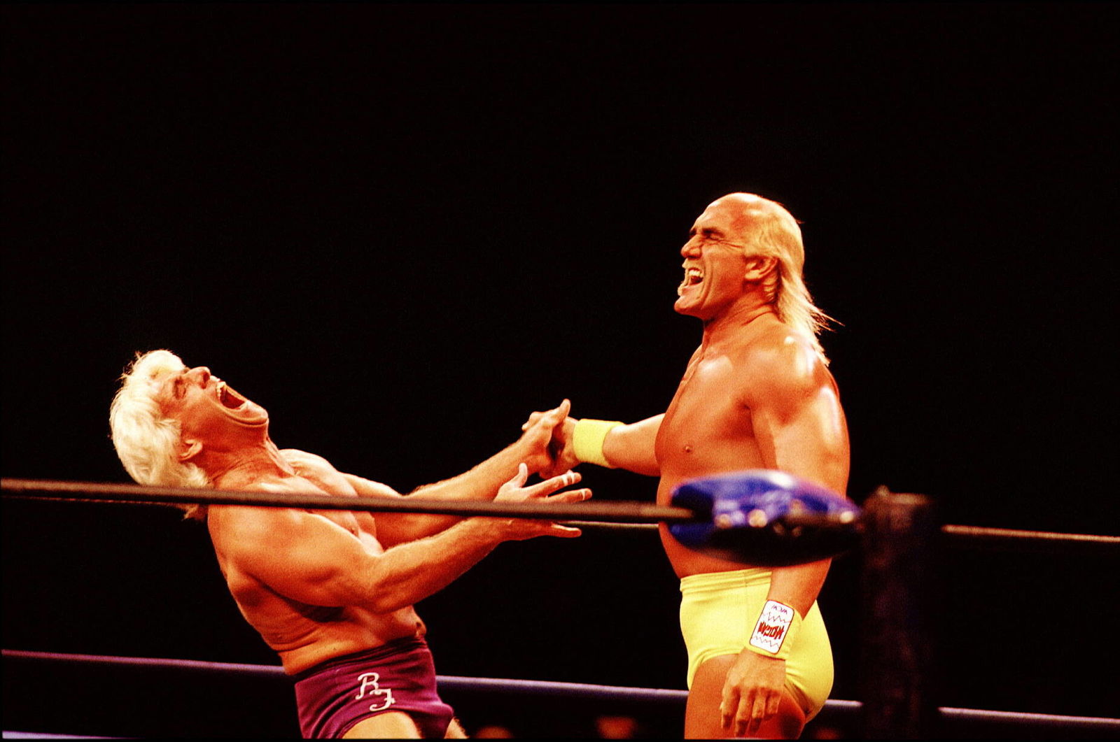 Wrestling (Hulk Hogan)