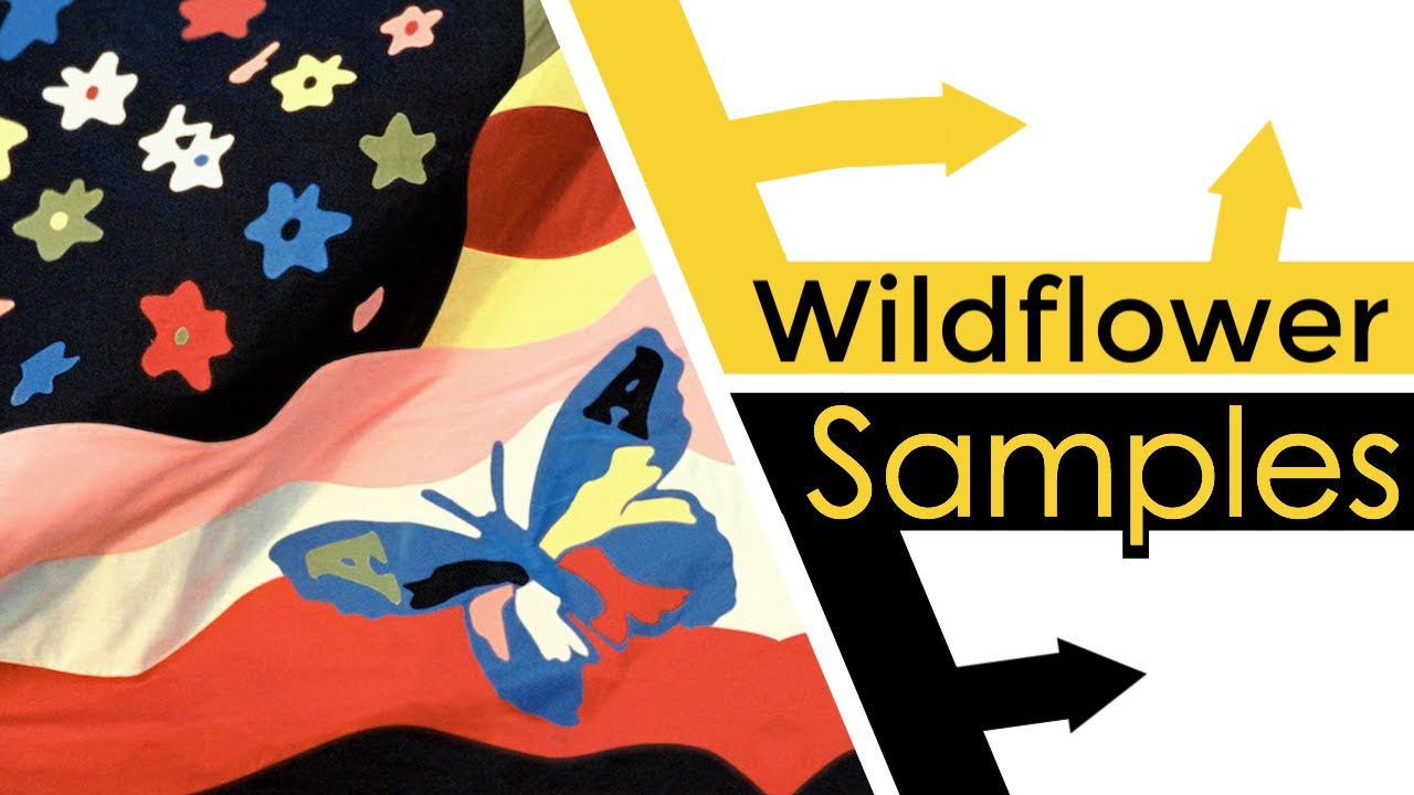 Every Sample From The Avalanches Wildflower