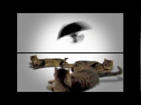 to rococo rot - telema (official video)