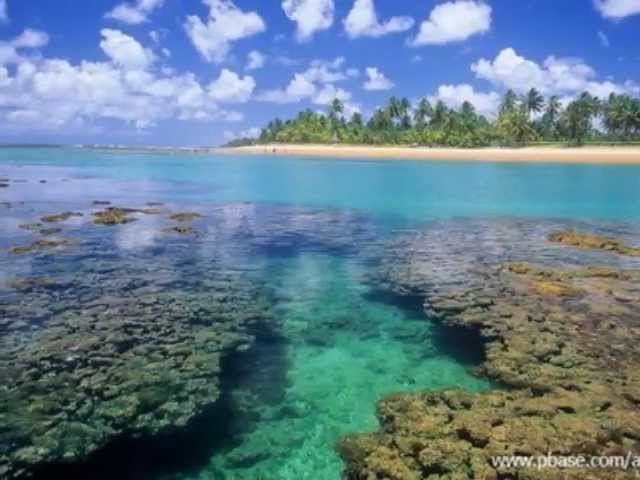 Beached - Orbital (Soundtrack the Beach)